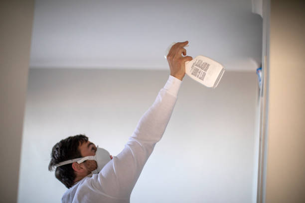 Best Mold Cleaning Services  in Benavides, TX