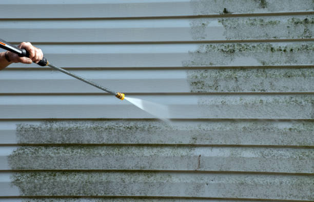 Certified Mold Removal in Benavides, TX