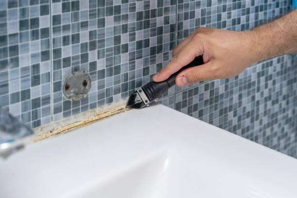 Best Mold Cleaning Services  in Benavides, TX