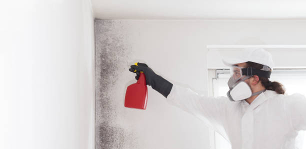 Best Mold Removal Process  in Benavides, TX