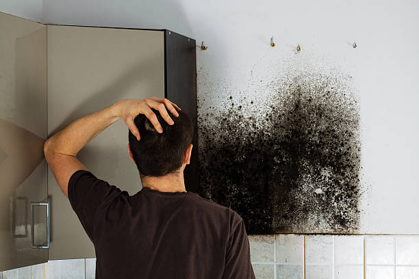 Best Mold Testing  in Benavides, TX